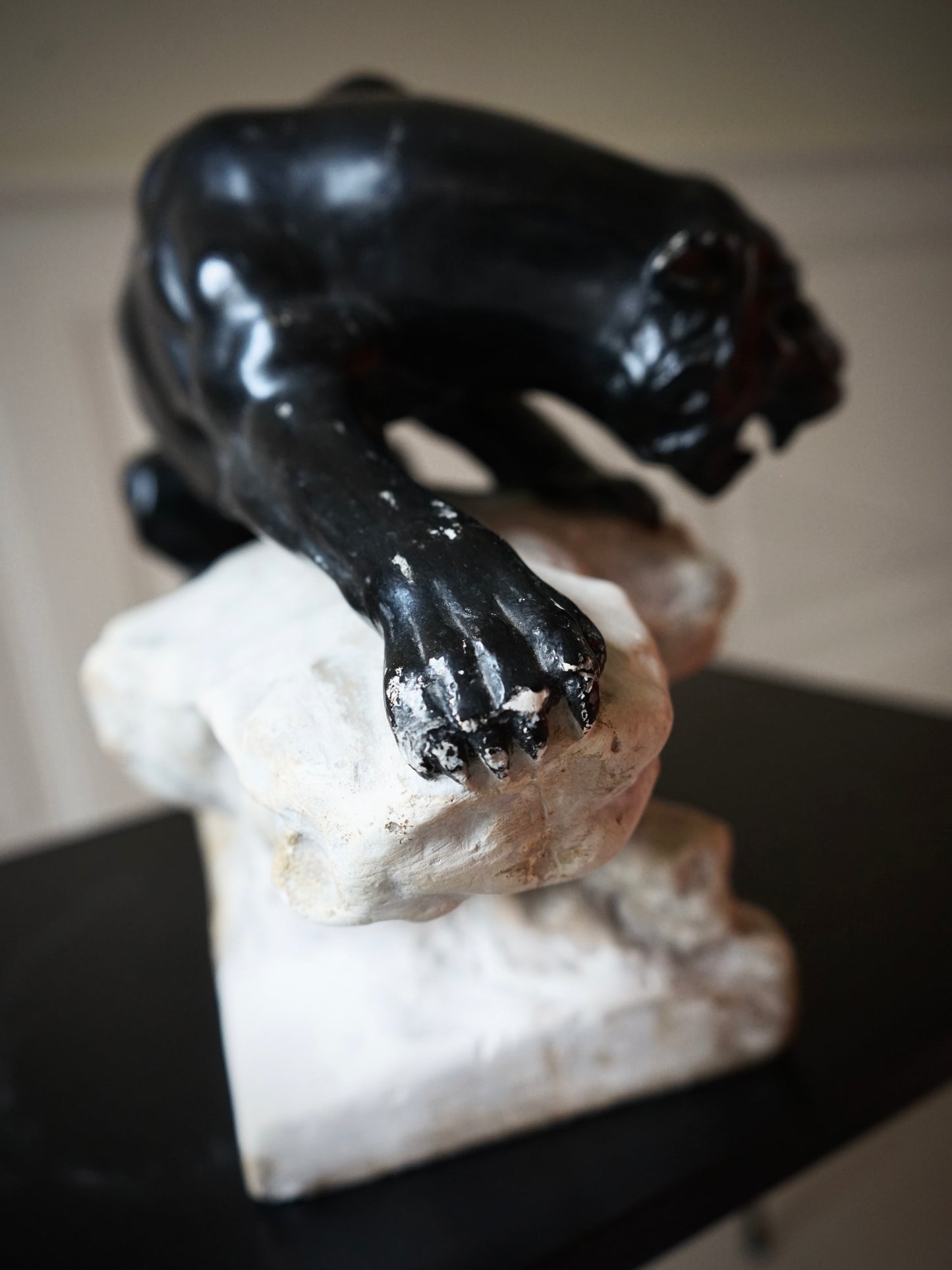 Panthére noire rugissant sur une crête.