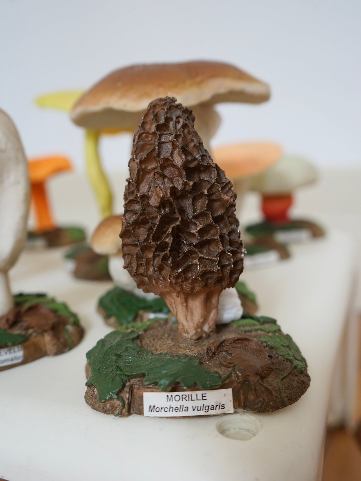 Collection de champignons en résine des années 80.